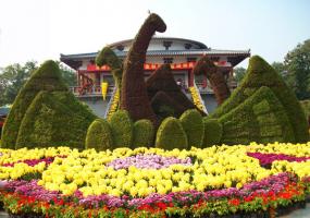 Wangcheng Park Flowers